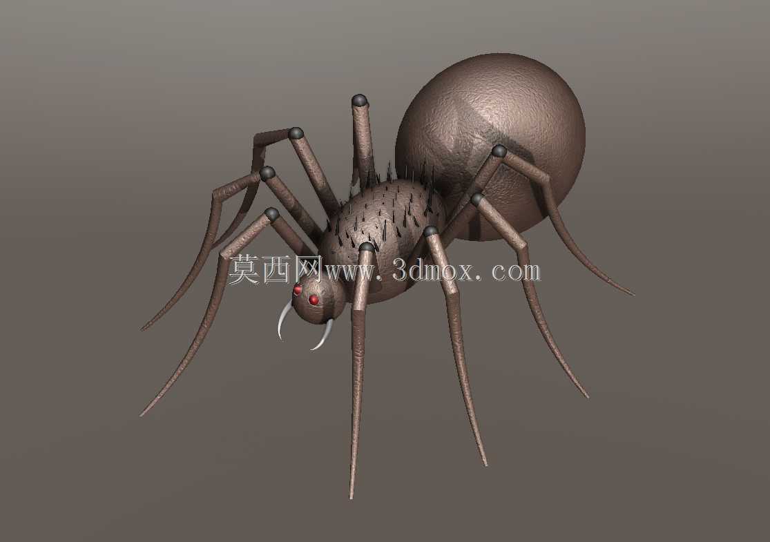 SPIDER (Solidworks) ?RüMCEK
