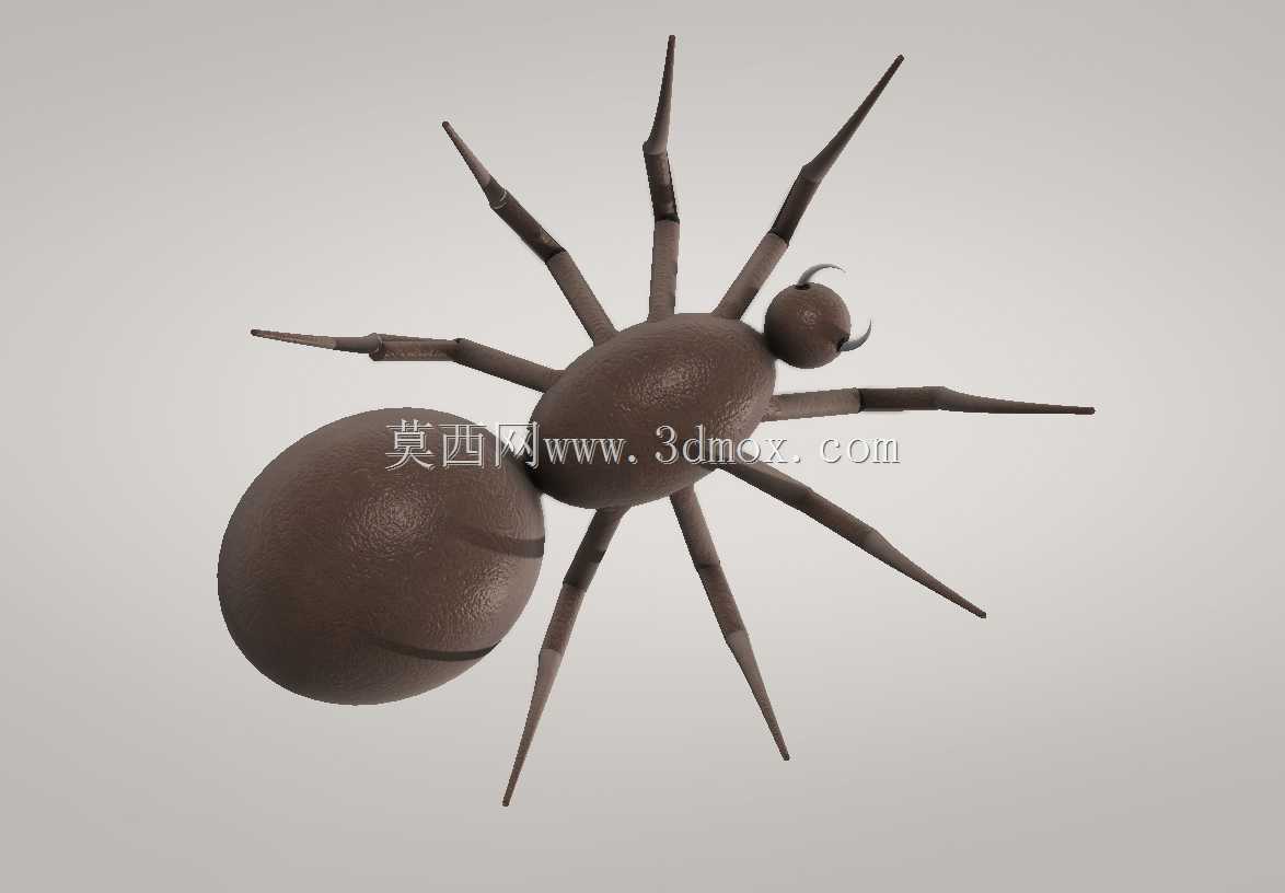 SPIDER (Solidworks) ?RüMCEK