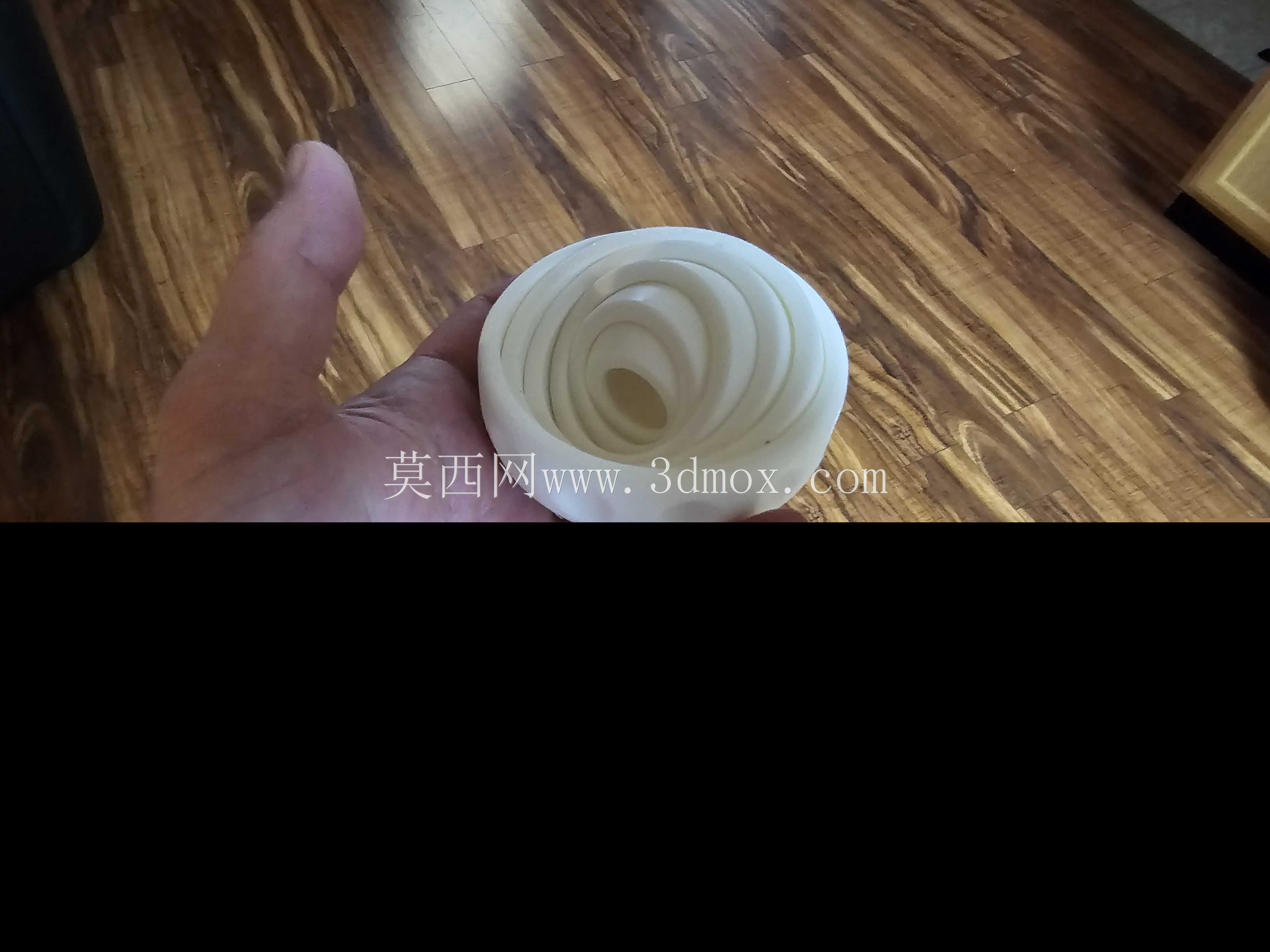 ָ������