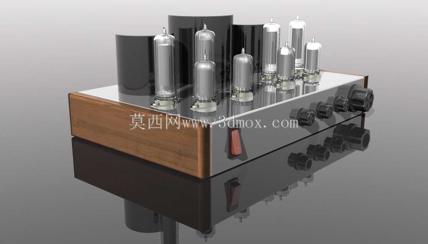 ���ӹܷŴ��� 2x20w