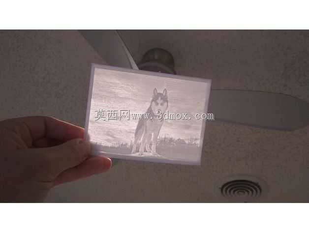 西伯利亚雪橇犬 - Lithophane