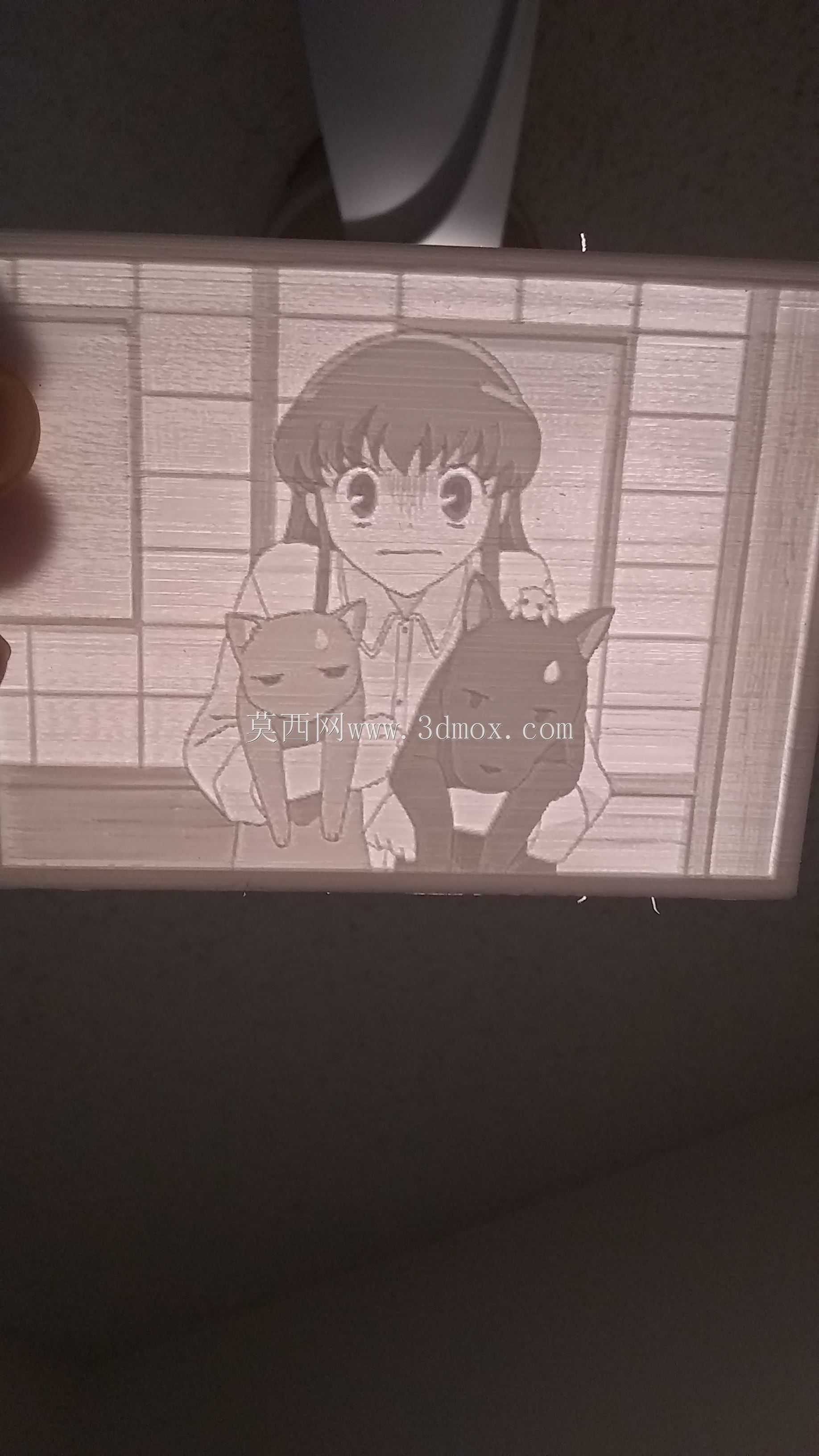 ˮ���� - Lithophane