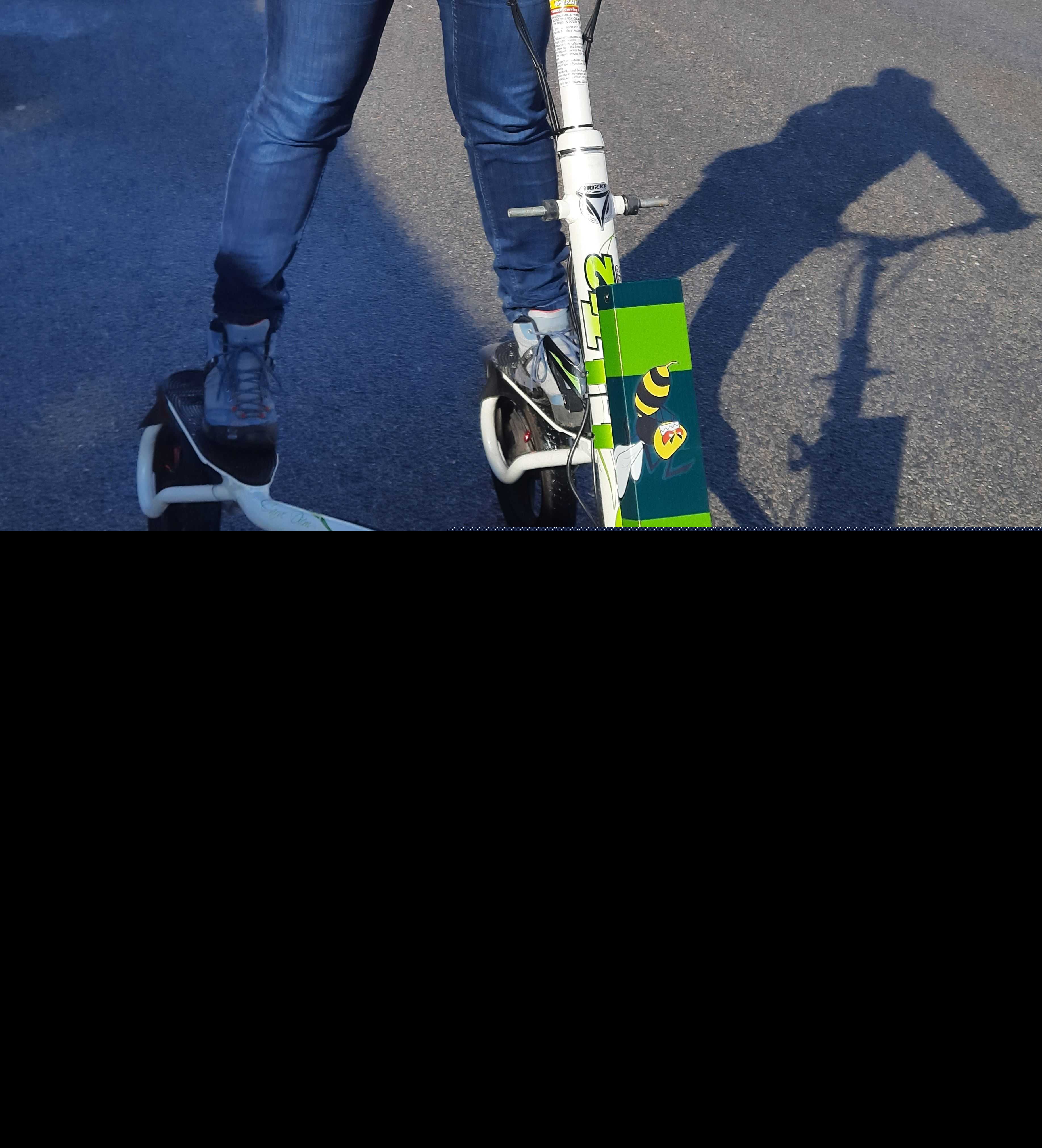 Trikke T12转换电动