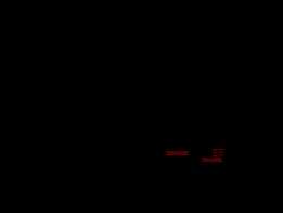 ini