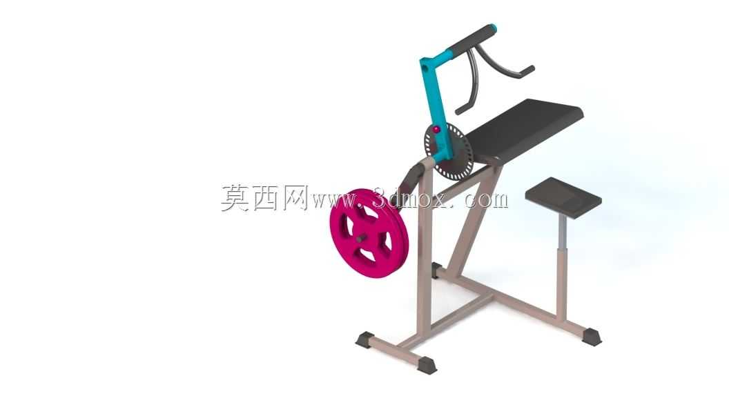 body-solid ��ͷ��/��ͷ��ѵ����