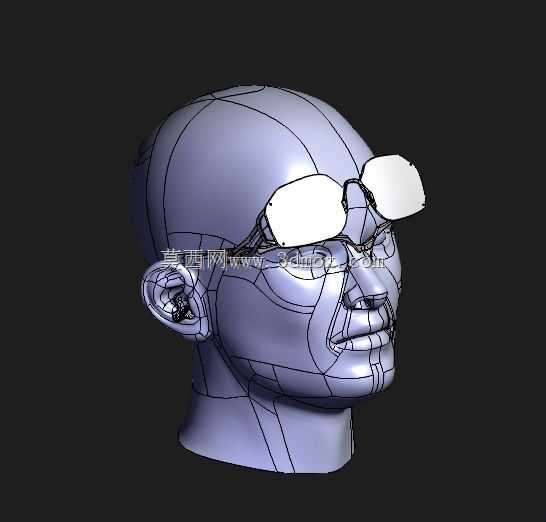 Glasses_Up_GLASS