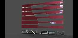 Saleen �ձ�