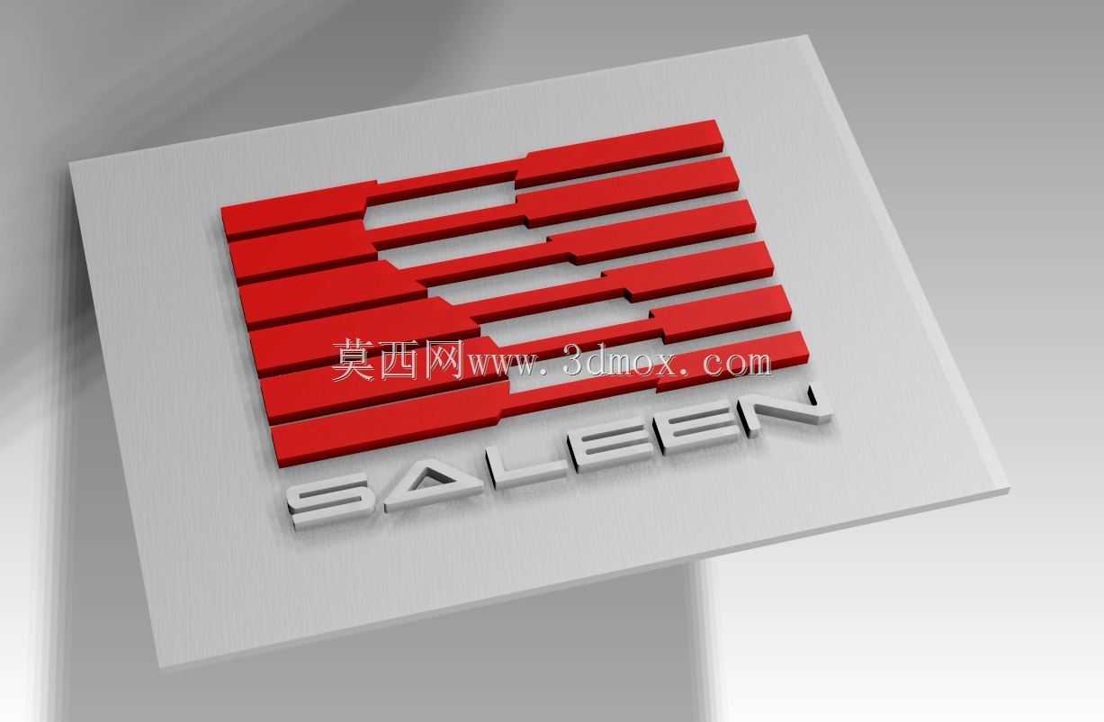 Saleen �ձ�