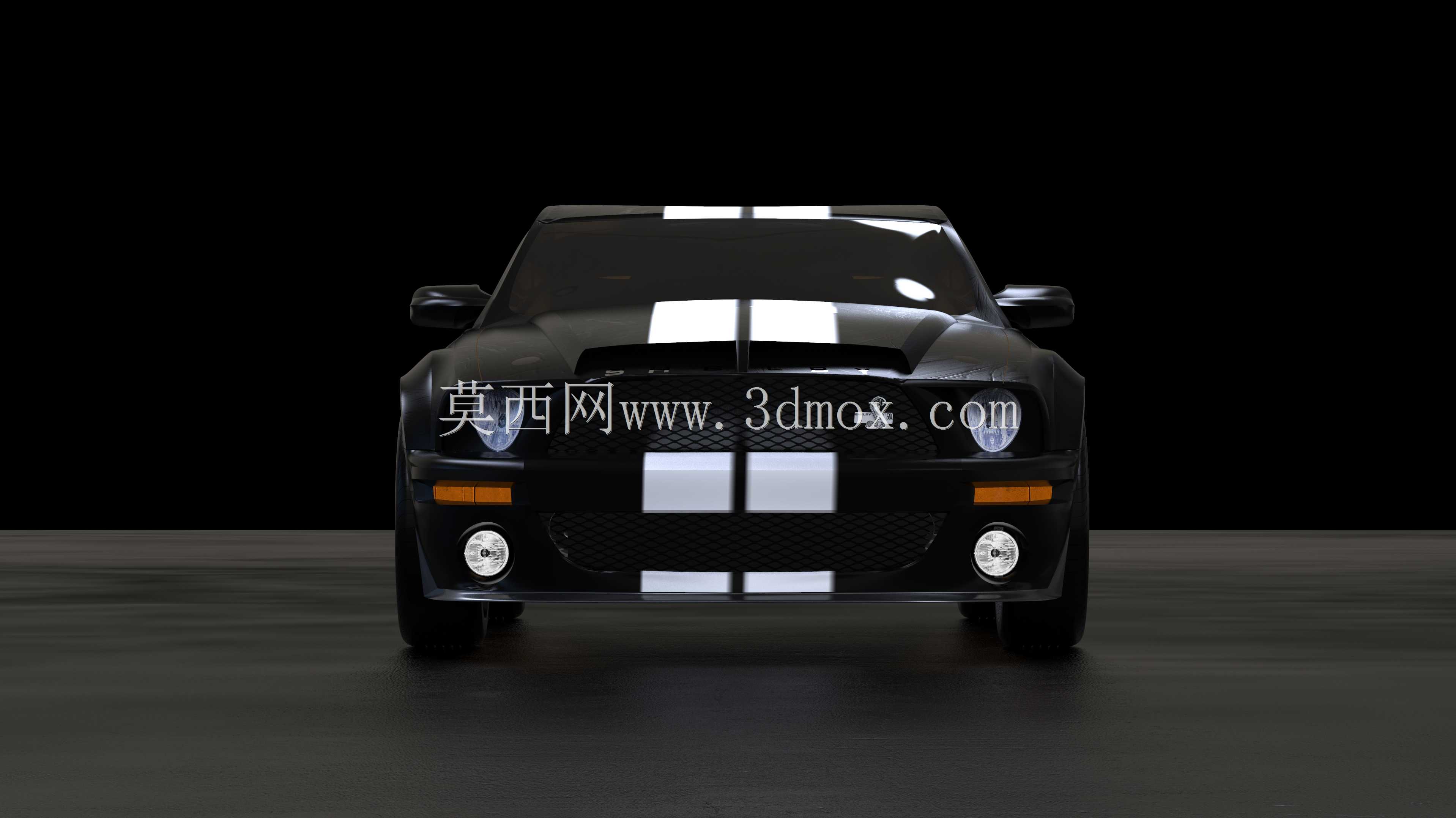福特野马谢尔比 GT 500 KR 2008