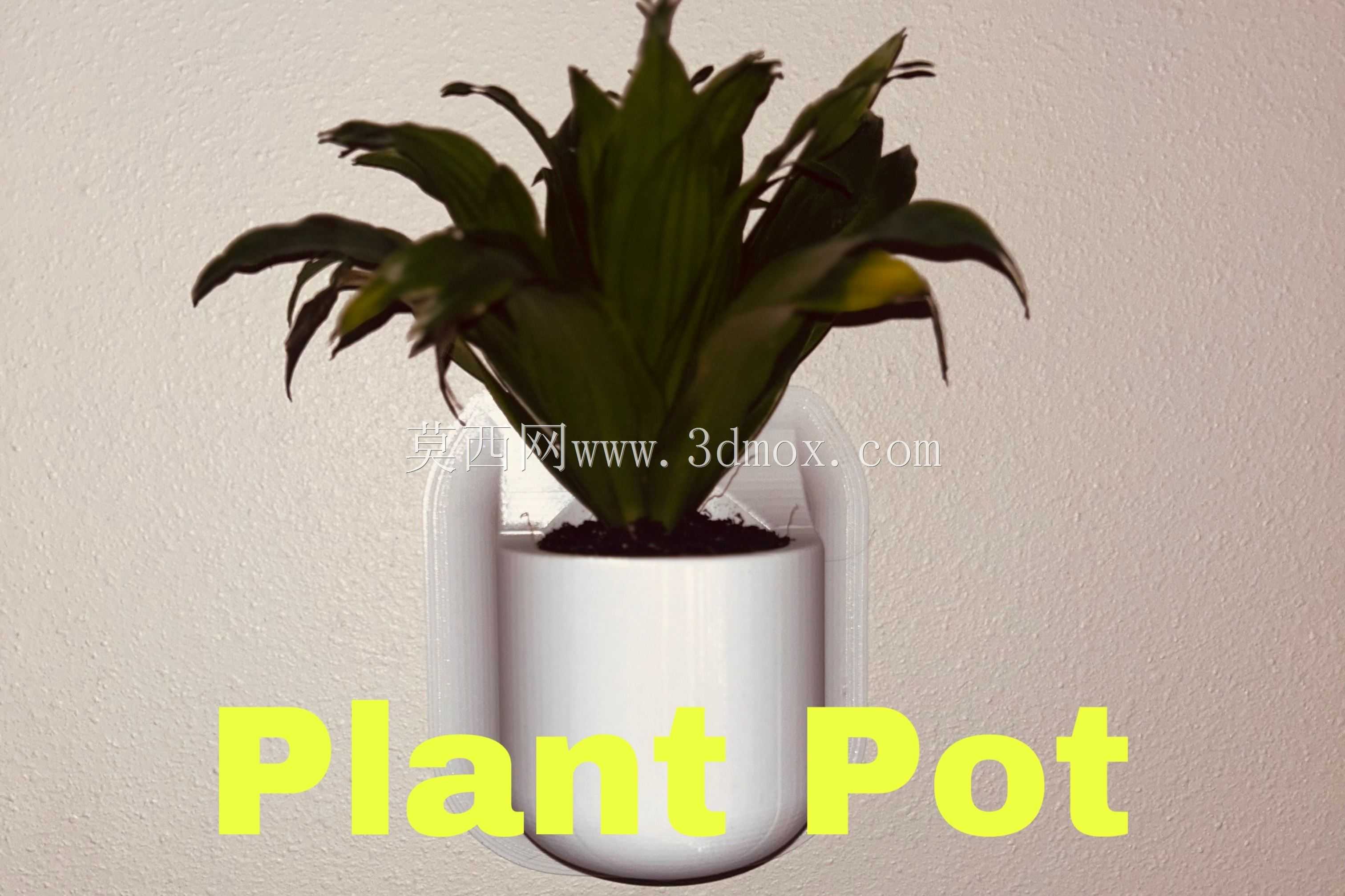 �ڹ�ʽ����
