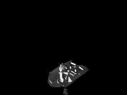 ��Ŀ˫Φ������Φͧ coque �� bouchains