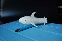 鲨鱼/Requin 鲨鱼