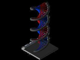 DNA����֧��