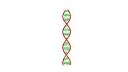 DNA