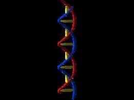 DNA