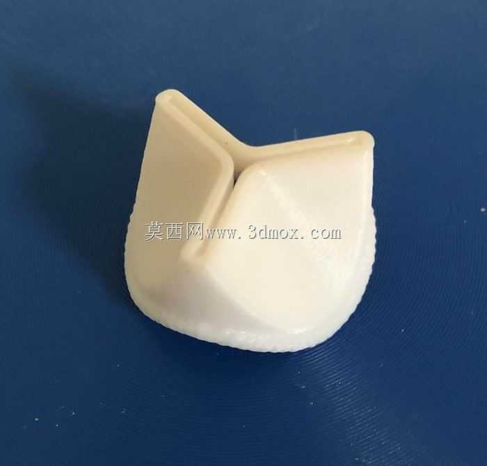 心脏瓣膜生物假体 - 3D打印