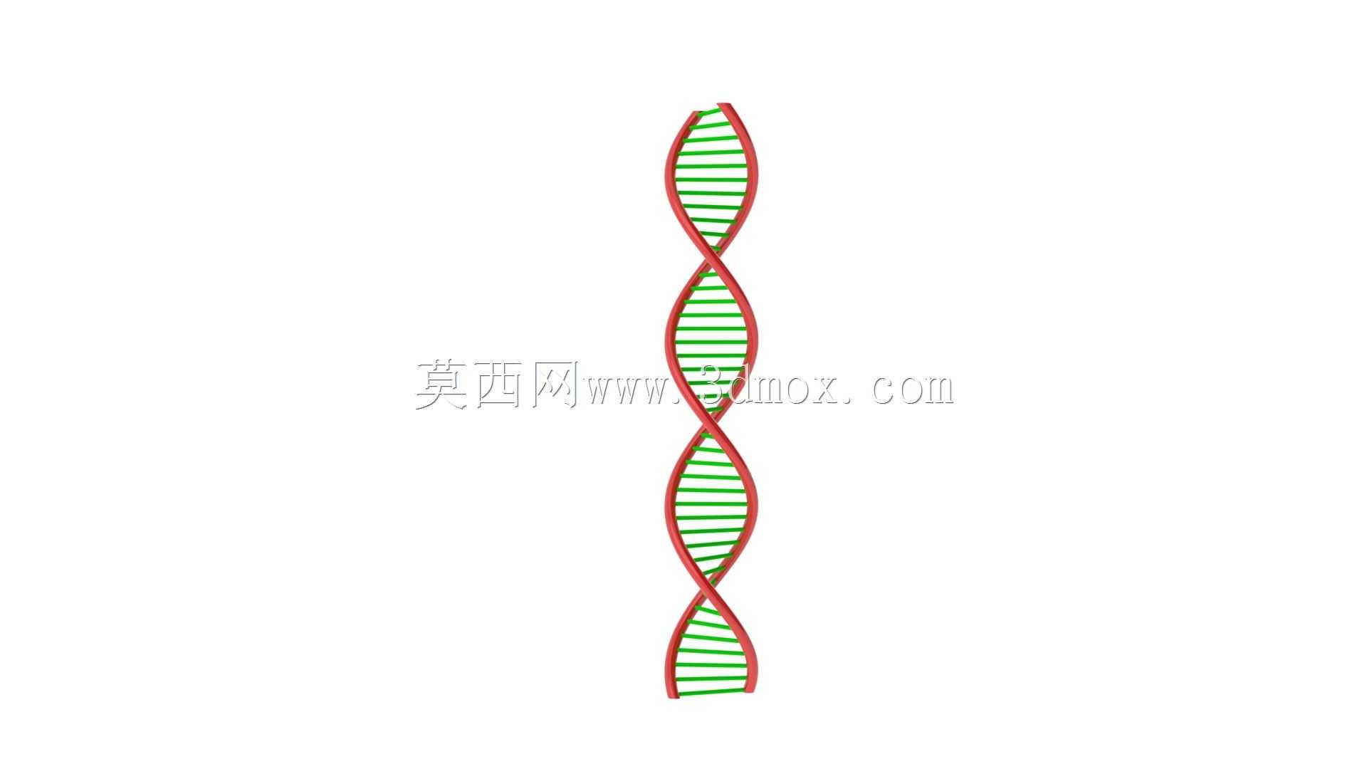 DNA