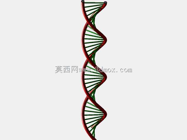 DNA