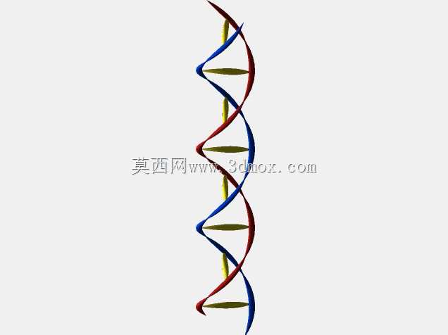 DNA