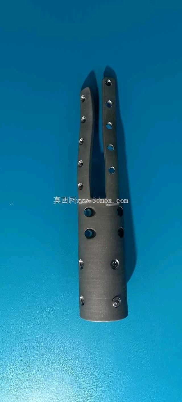 植入式重建系统