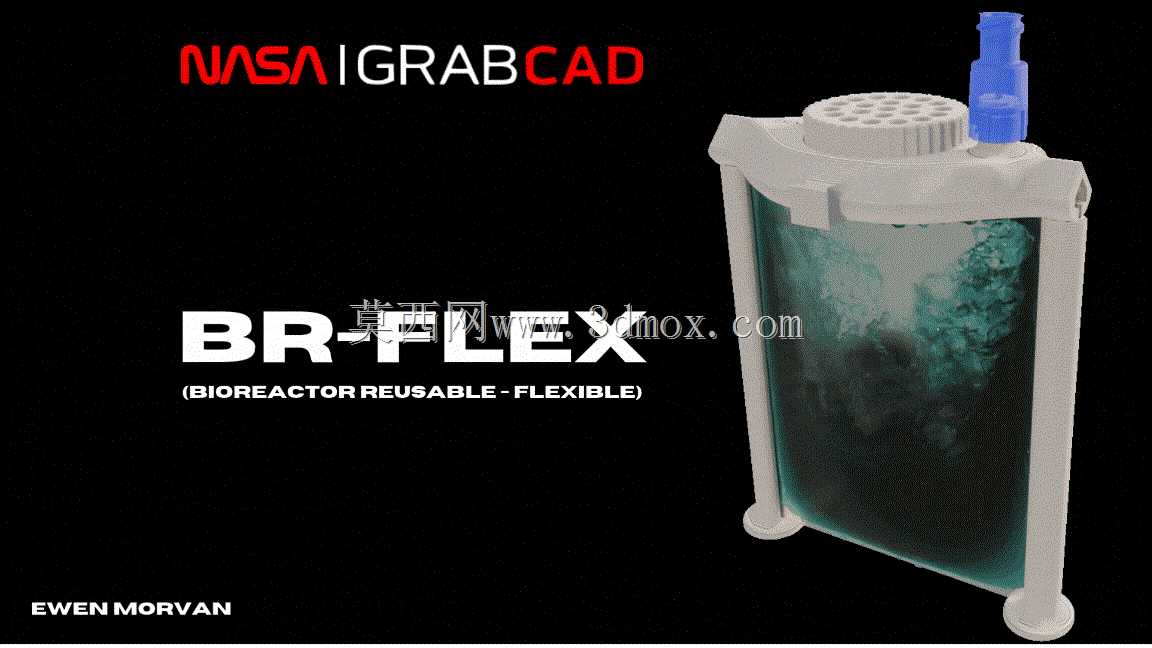 BR-FLEX