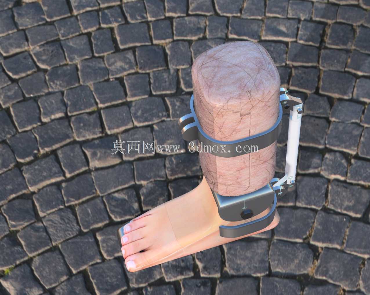 ������������˵Ľ�����