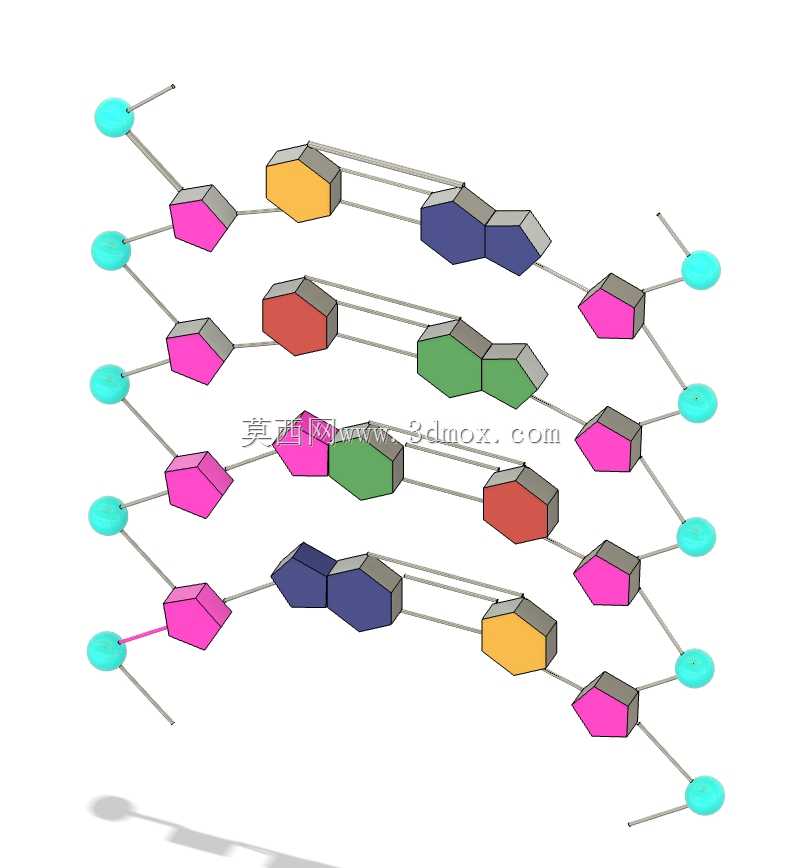 DNA�ṹ