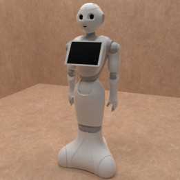 Pepper Robot