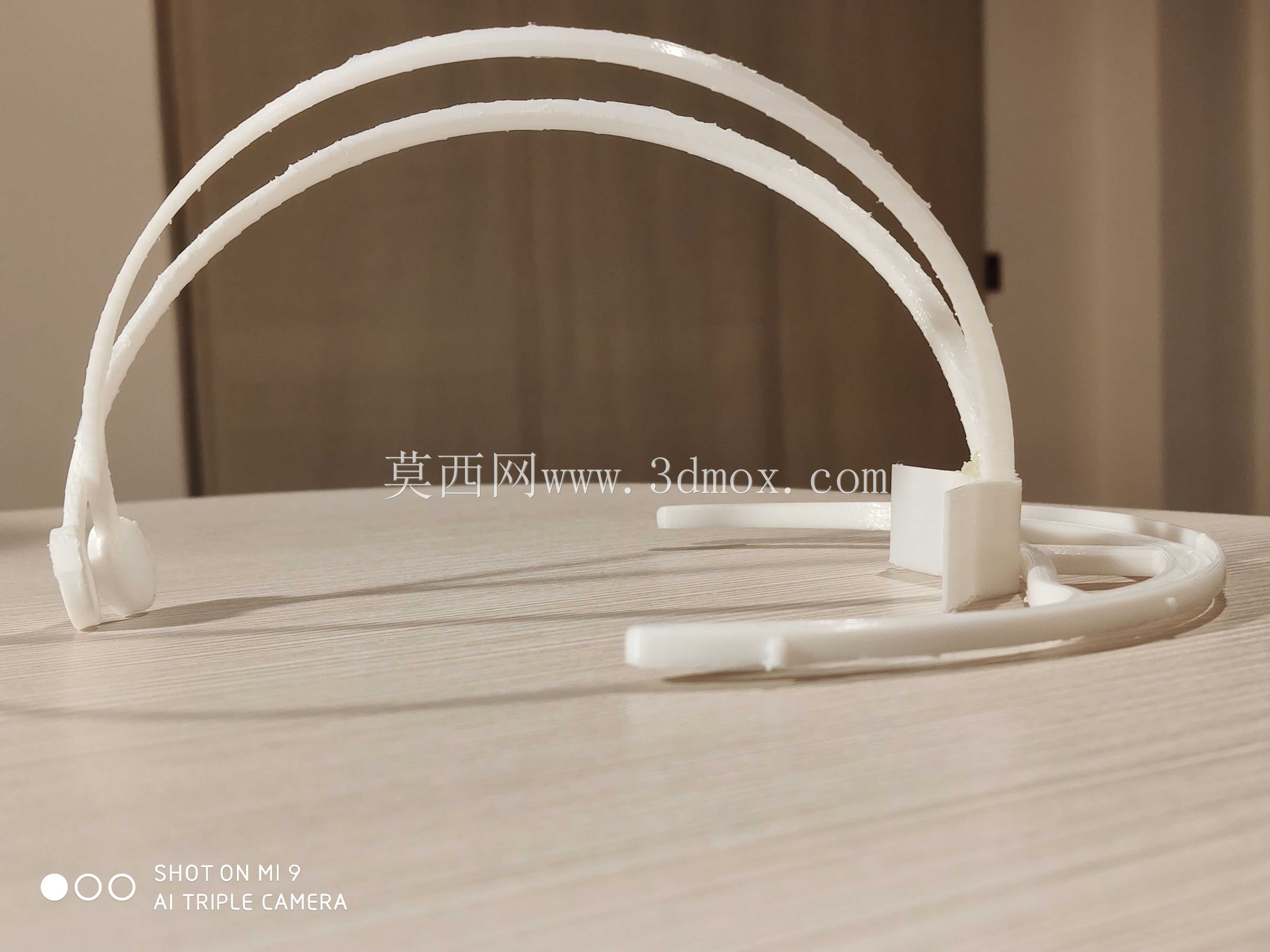 Visiera COVID-19(防护面罩)