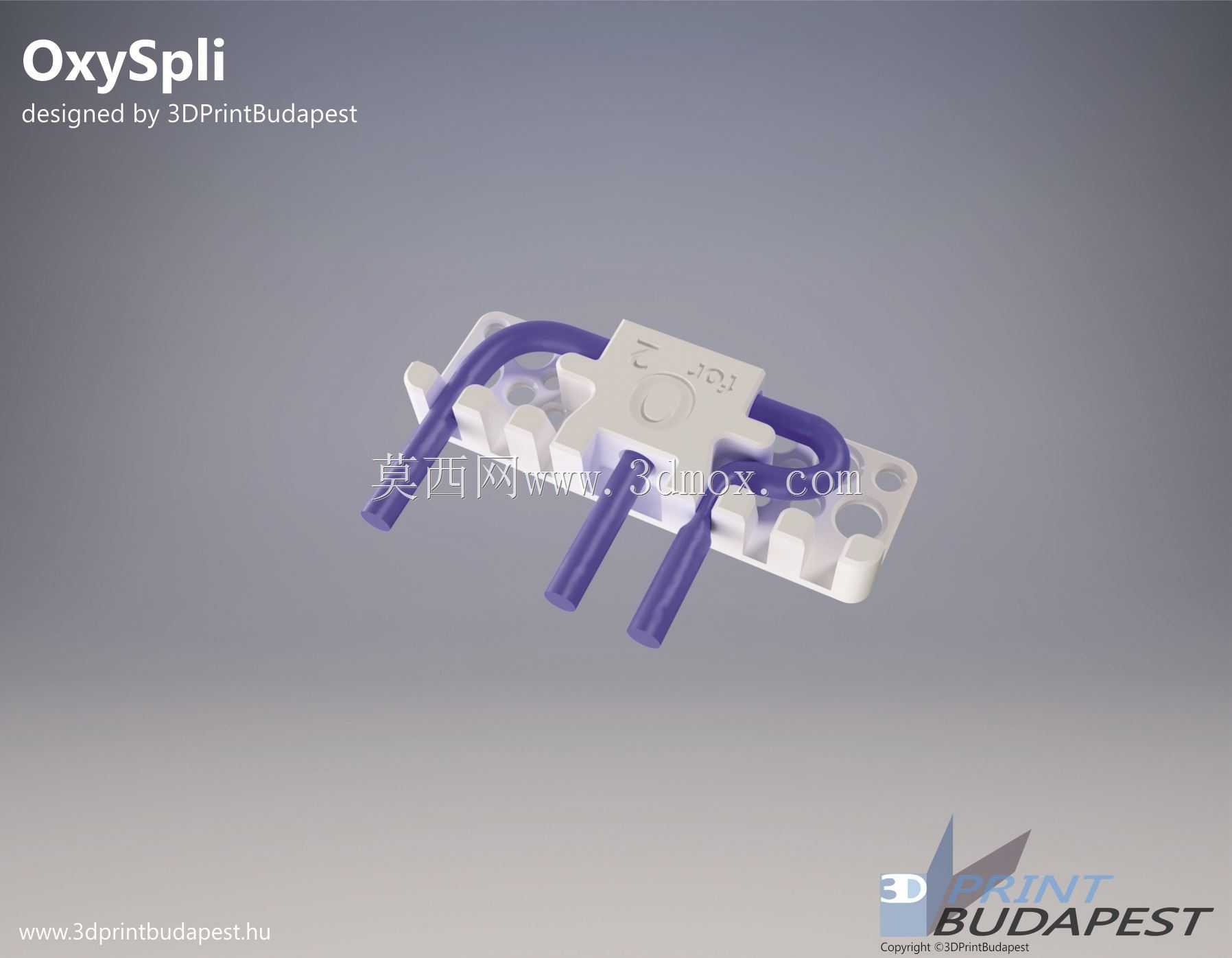 氧气分离器 - OxySpli