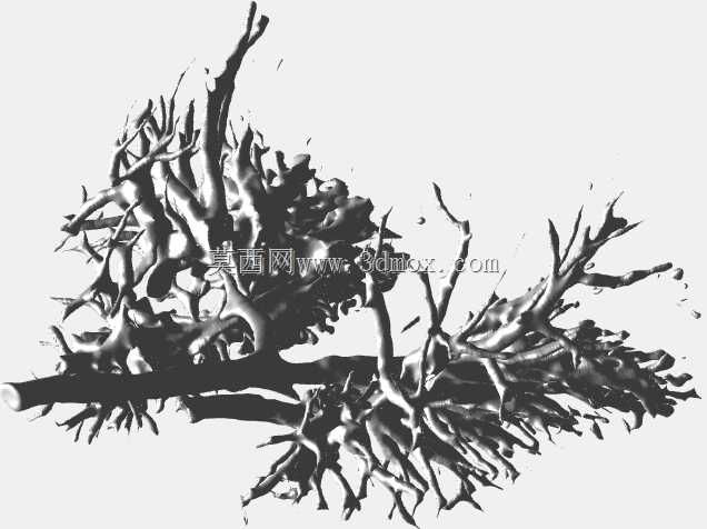 肺部血管