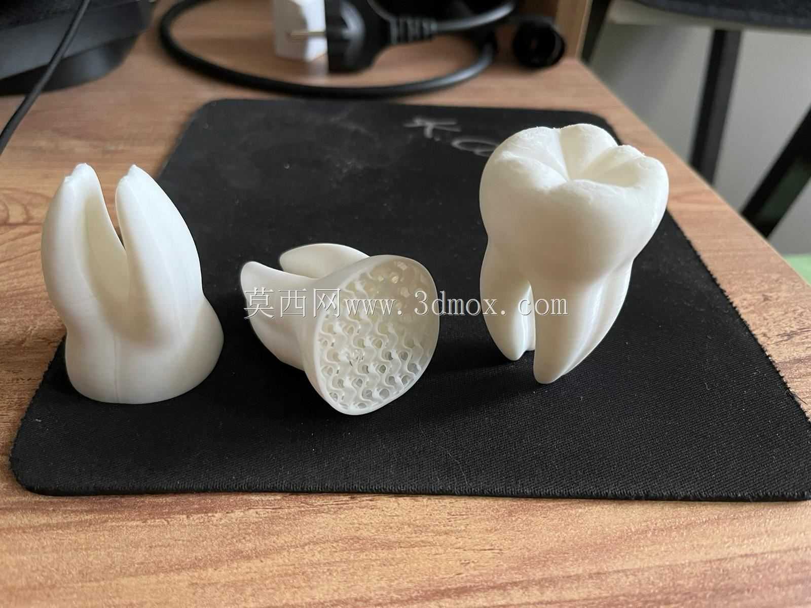 ����/���ݣ�3D��ӡģ�ͣ�