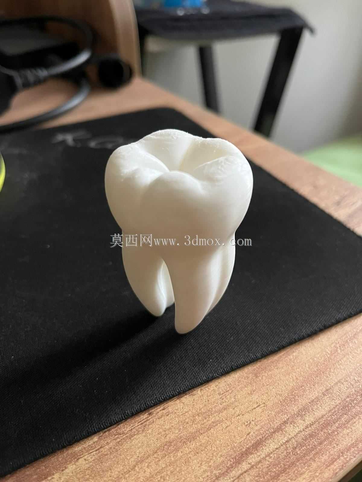 ����/���ݣ�3D��ӡģ�ͣ�