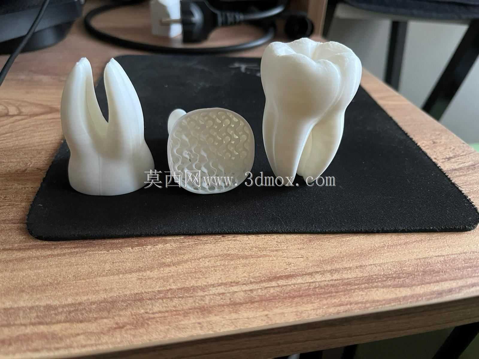 ����/���ݣ�3D��ӡģ�ͣ�