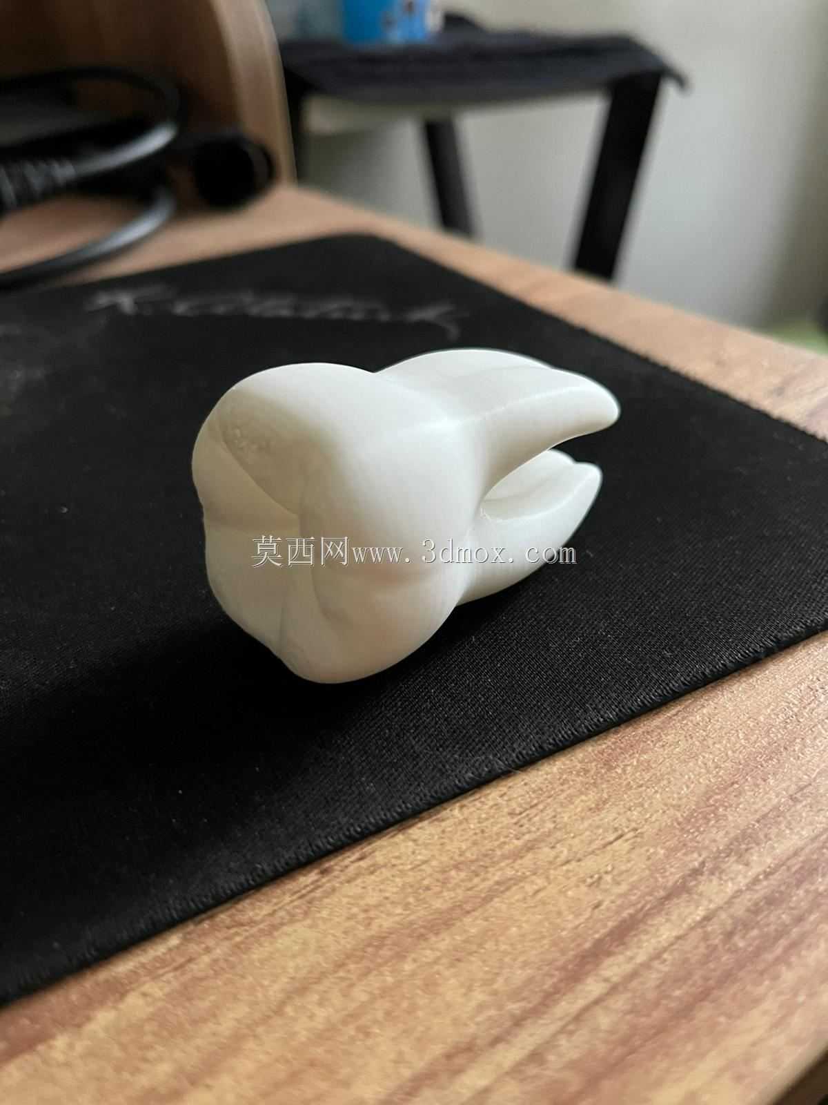 ����/���ݣ�3D��ӡģ�ͣ�
