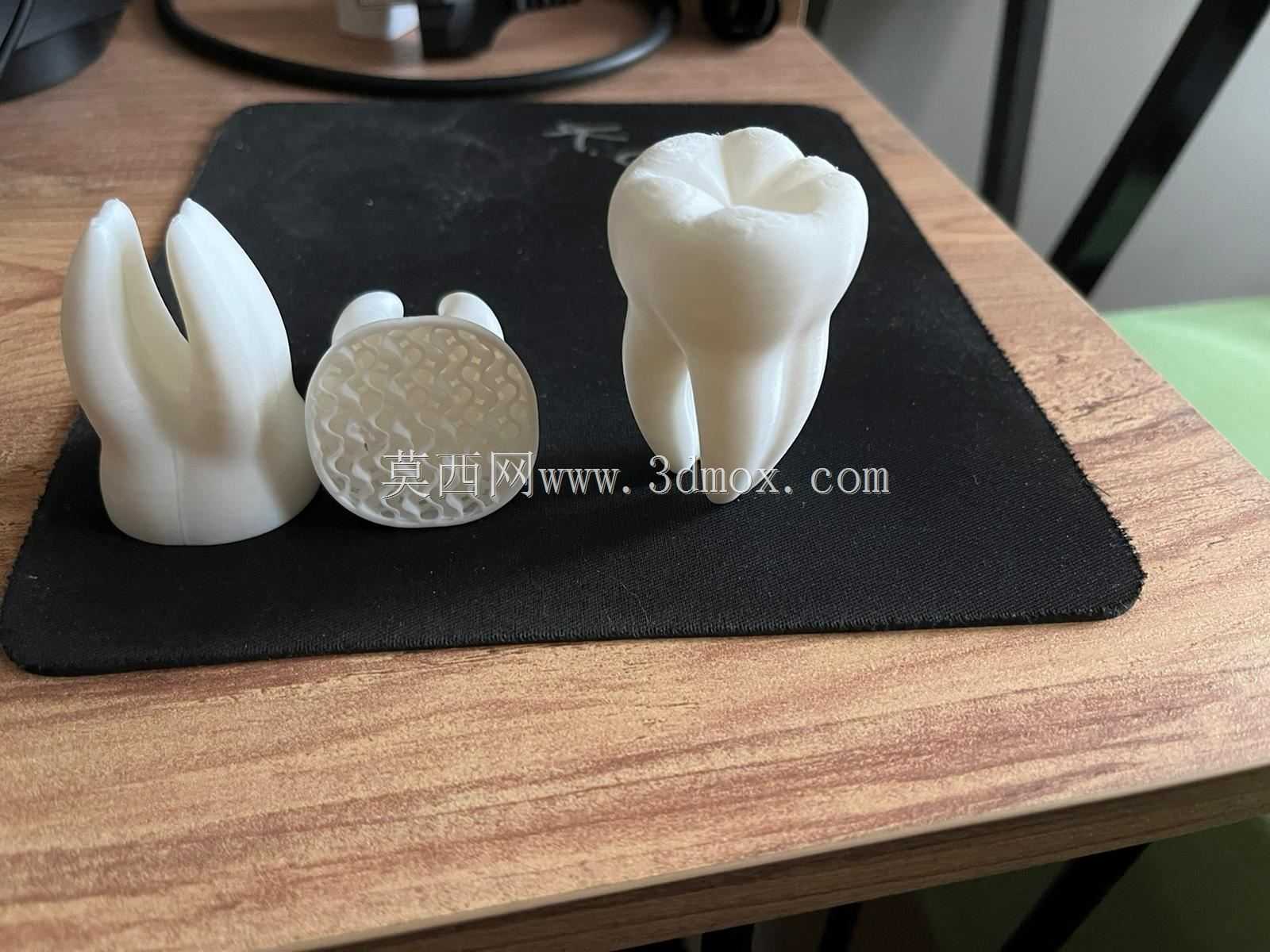 ����/���ݣ�3D��ӡģ�ͣ�