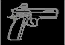 CZ Shadow 2 Silhouet