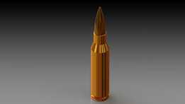 �ӵ��ھ�.308