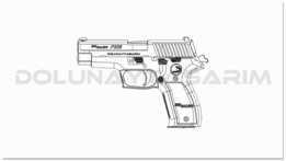 SIG SAUER P226