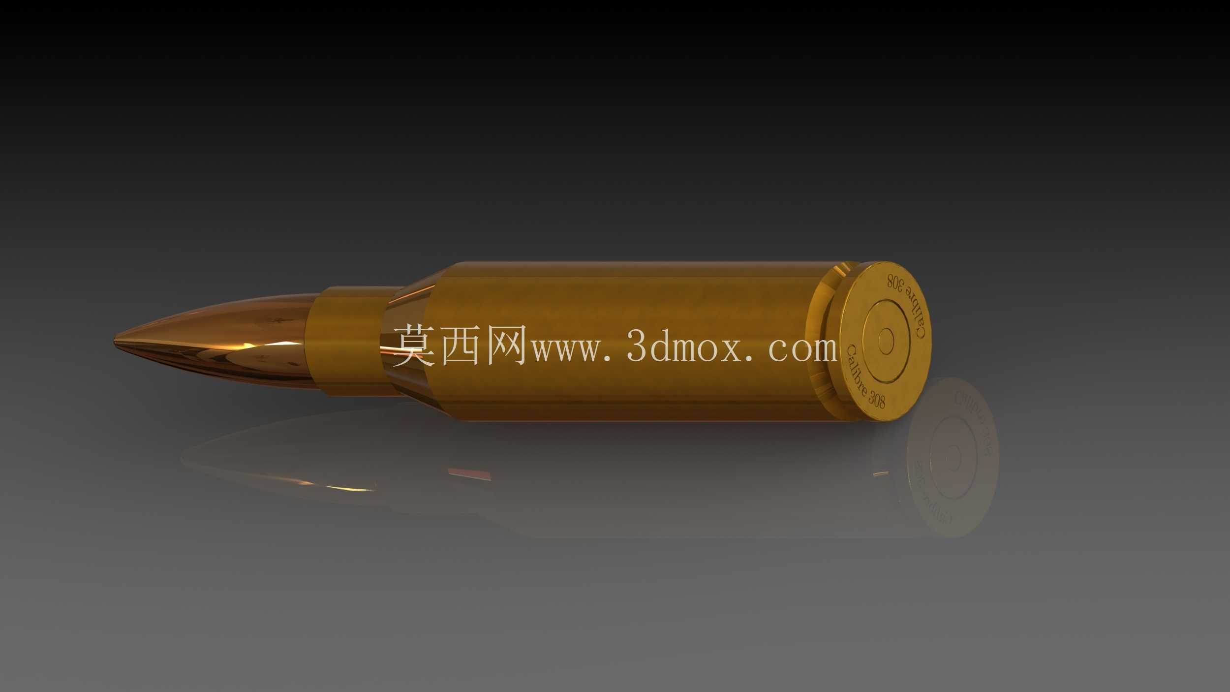 �ӵ��ھ�.308