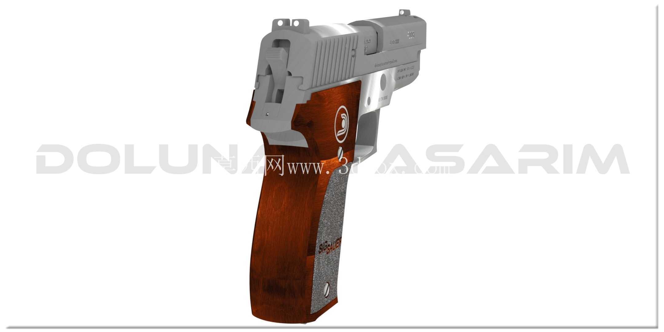 SIG SAUER P226