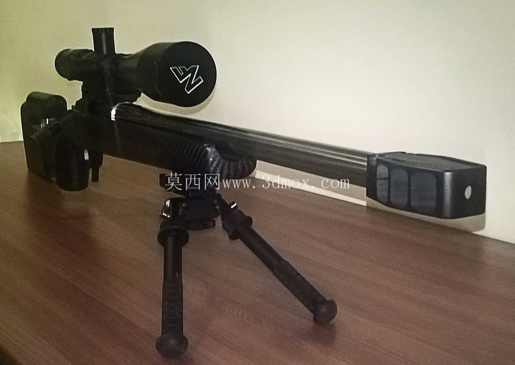 .308��ͷǹ��������
