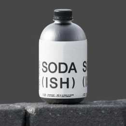 Sodaish Stratasys\u0026关键镜头提交