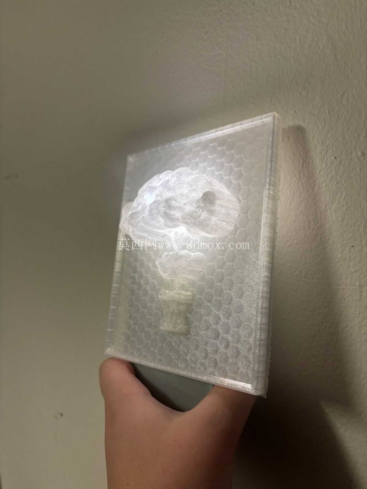 ��Ģ����ǽ��