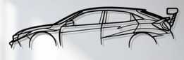 ����˼��TCR Silhouet