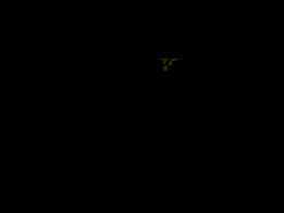 ��·
