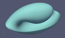 Sea Shell