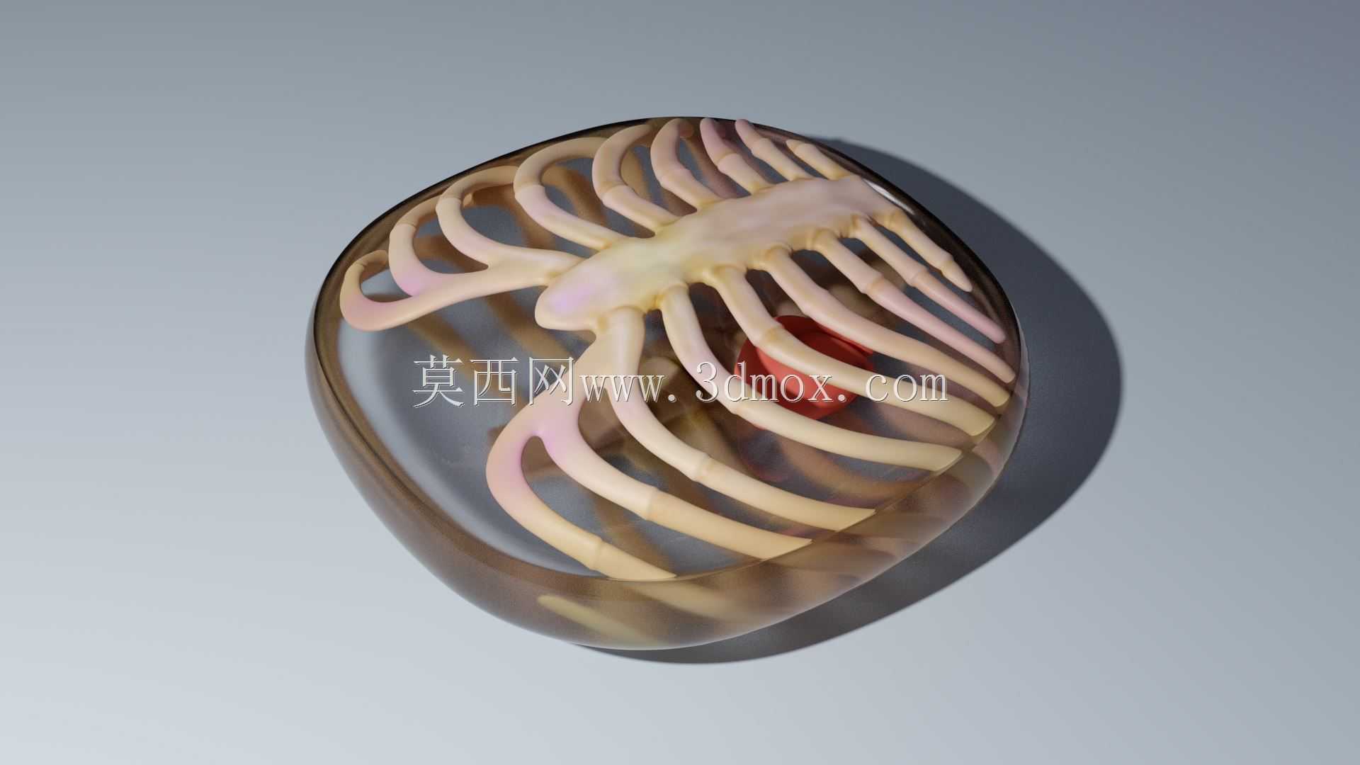 Stratasys Medical Pebble