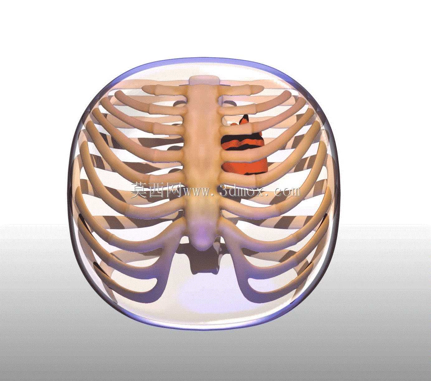 Stratasys Medical Pebble