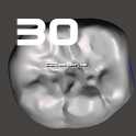 IDDA Adam Nulty F01 Meshmixer女性桥牙库-F01 Anteriores桥牙